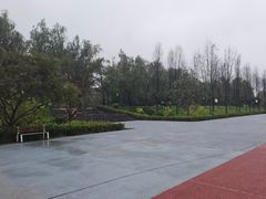 -渭滨公园