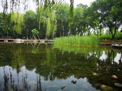 -玲珑塔公园