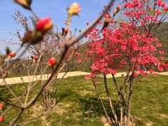 -冶父山国家森林公园