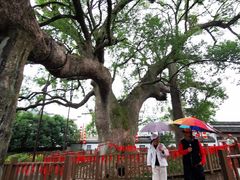 -新安江山水画廊风景区