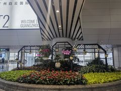 -广州白云国际机场-T2航站楼