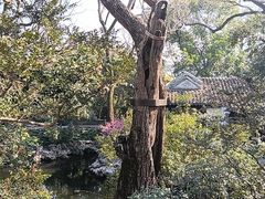 -秋霞圃