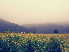 android_upload_pic-广州市石门国家森林公园