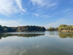 -苏州太湖国家湿地公园