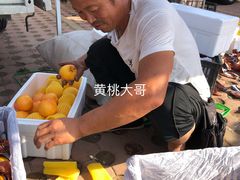 -南戴河海滨市场