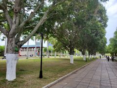 -厦门大学(思明校区)