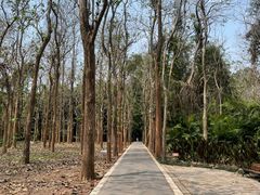 -中国科学院西双版纳热带植物园
