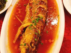 -全聚德烤鸭店(准噶尔路店)