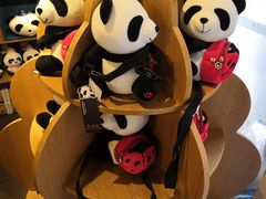 -熊猫屋(宽窄巷子景区店)