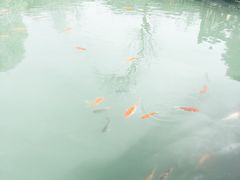 -深业半汤御泉庄温泉