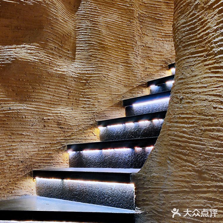 🍄野生菌的味觉奇迹！真的让你不敢相信这味道来自大自然🌲