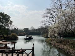 -西溪国家湿地公园