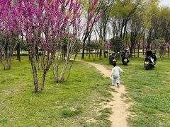 -洨河生态公园