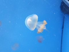 -常州海昌海洋探索馆