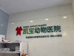 -悦宠凯宝动物医院·牙科·皮肤科(朝阳北路店)