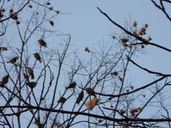 -苏州河梦清园环保主题公园