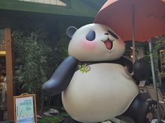 -轩客会(熊猫书店)