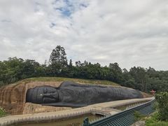 -三水森林公园