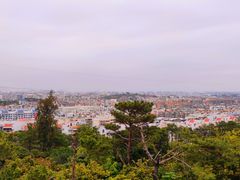 -狐尾山公园
