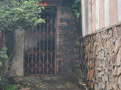 -长洲岛