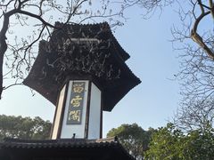 -上海佘山国家森林公园天马山园