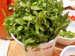 西洋菜-好彩猪肚鸡(正弘城店)