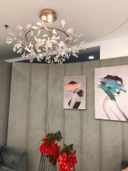 -八佰伴8008星级形象店