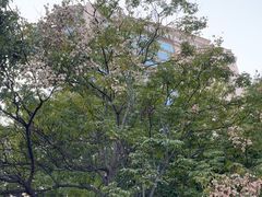 -青岛海尔洲际酒店