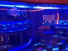 -上和臻品中国菜(花园街店)