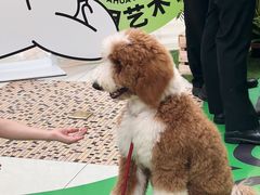 -光启城时尚购物中心