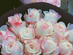 -双季花艺园艺市场(浦东店)