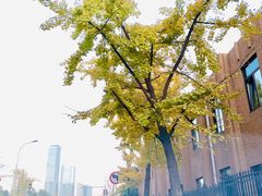 -大连人民广场
