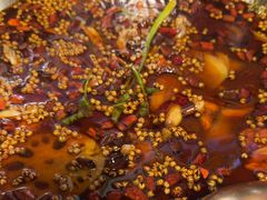 -味之绝热血美蛙鱼火锅(中坝店)