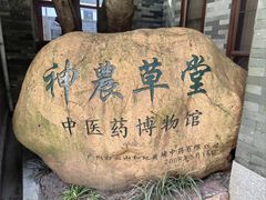 -广州神农草堂中医药博物馆