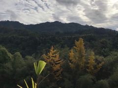 -雅安楠水阁温泉酒店