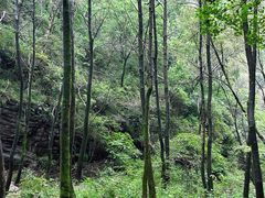 -驼梁风景区