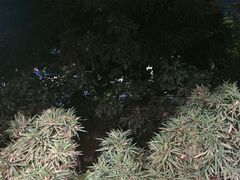 -大门水乡·顺德菜