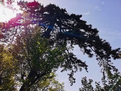 -终南山南五台景区