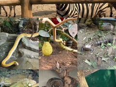 -大连森林动物园