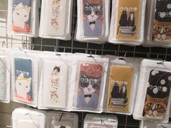 -猫咪博物馆(顶澳仔猫街店)