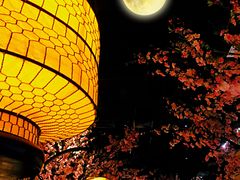 大堂-绿茶餐厅(昌平悦荟店)