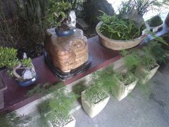 android_upload_pic-解放公园