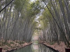 -同里国家湿地公园