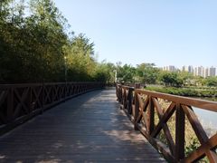 -大亚湾红树林城市湿地公园