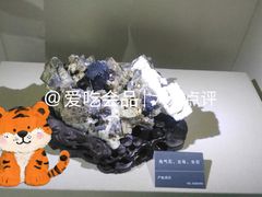 -安徽省地质博物馆