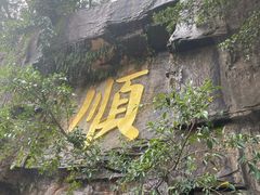 -三水森林公园