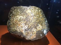 -紫金山天文台