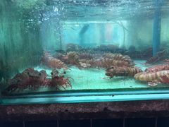 -班赞海鲜市场