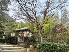-常寂光寺