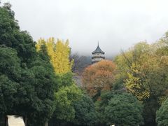-灵谷景区